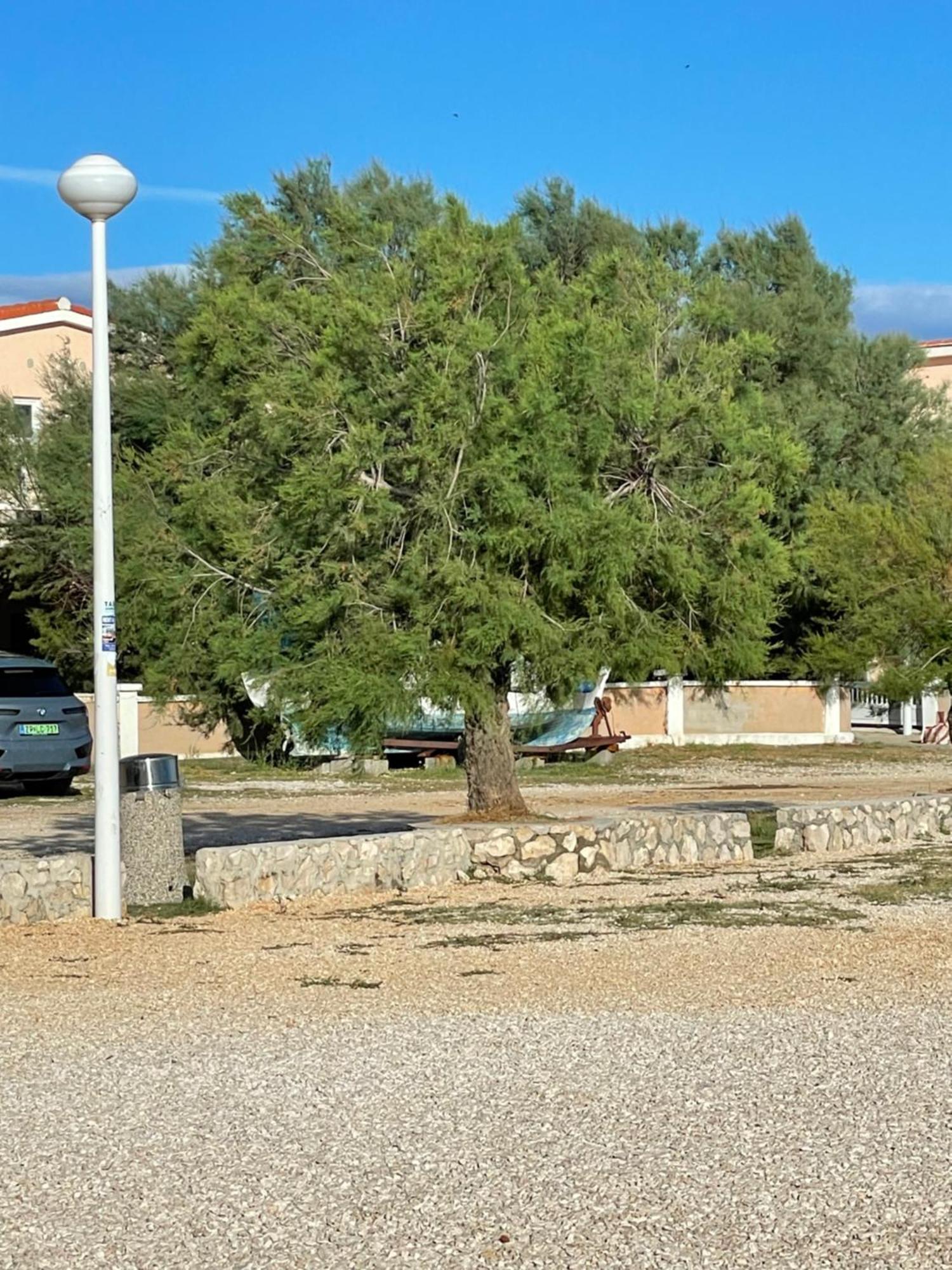 Apartman Boja Vir Exterior foto